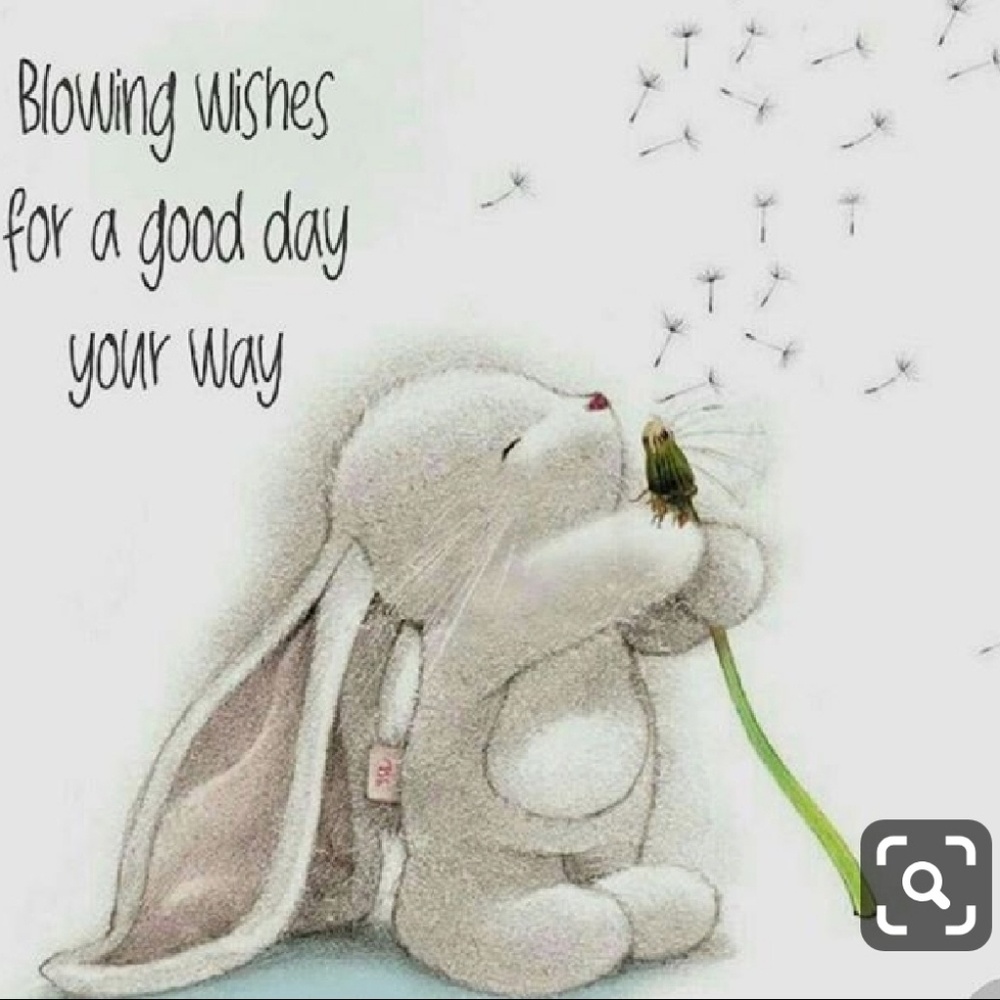 Meet your Posher, Codi